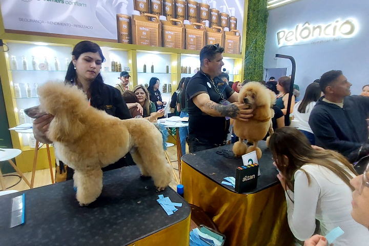 Pet South America